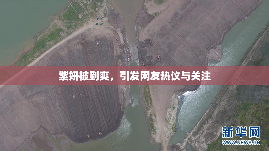 紫妍被到爽，引发网友热议与关注