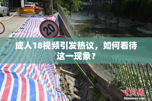 成人18视频引发热议，如何看待这一现象？