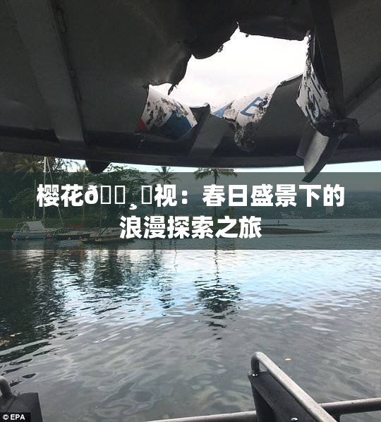 樱花🌸‌视：春日盛景下的浪漫探索之旅