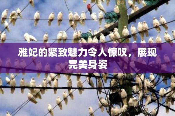雅妃的紧致魅力令人惊叹，展现完美身姿