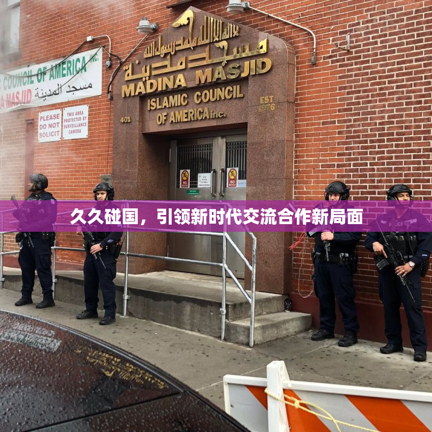 久久碰国，引领新时代交流合作新局面