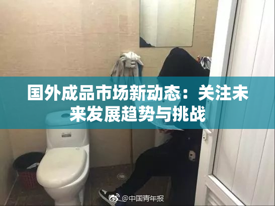 国外成品市场新动态：关注未来发展趋势与挑战