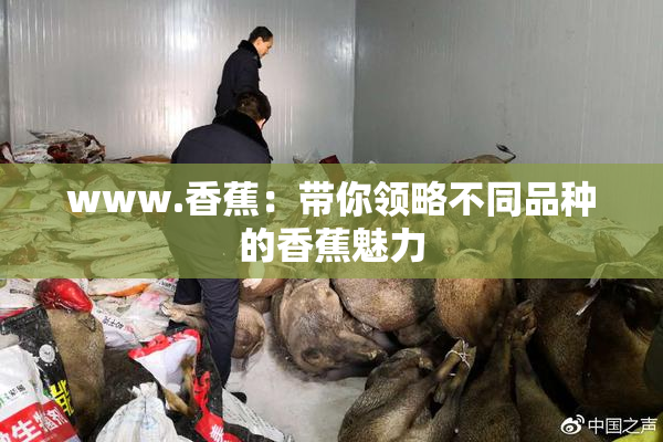 www.香蕉：带你领略不同品种的香蕉魅力