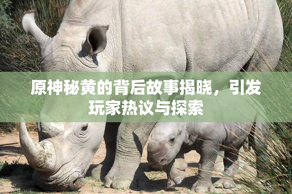 原神秘黄的背后故事揭晓，引发玩家热议与探索