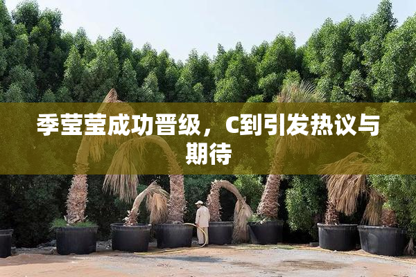 季莹莹成功晋级，C到引发热议与期待