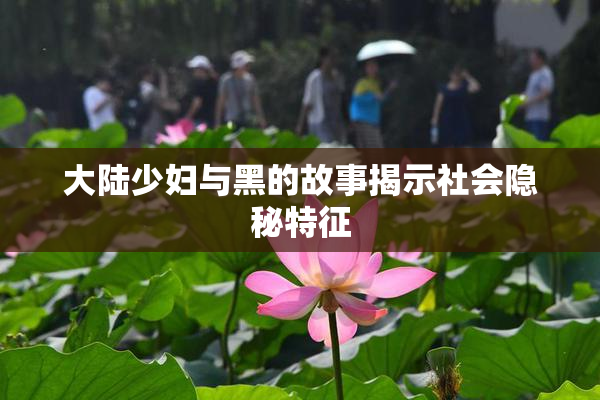 大陆少妇与黑的故事揭示社会隐秘特征