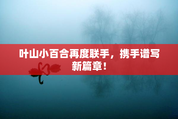 叶山小百合再度联手，携手谱写新篇章！