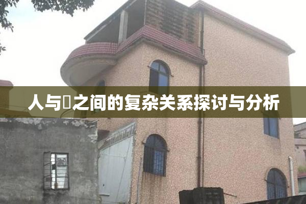 人与嘼之间的复杂关系探讨与分析