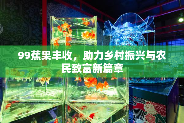 99蕉果丰收，助力乡村振兴与农民致富新篇章