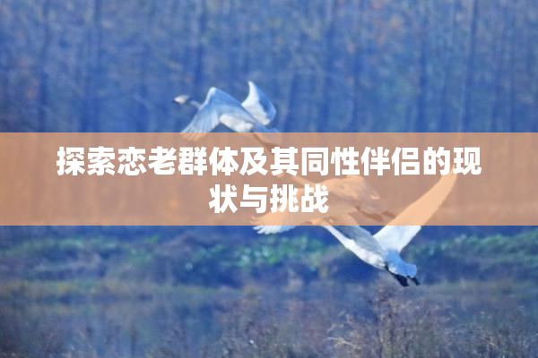 探索恋老群体及其同性伴侣的现状与挑战