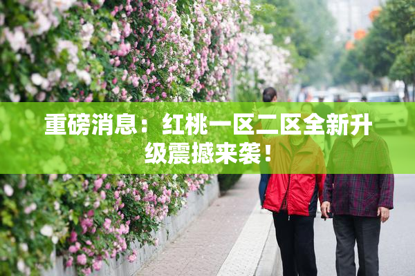 重磅消息：红桃一区二区全新升级震撼来袭！