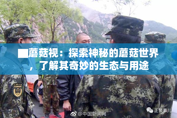 ▇蘑菇视：探索神秘的蘑菇世界，了解其奇妙的生态与用途