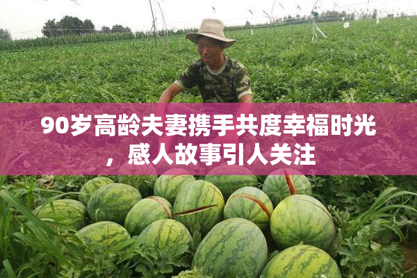 90岁高龄夫妻携手共度幸福时光，感人故事引人关注