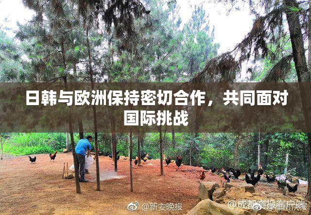 日韩与欧洲保持密切合作，共同面对国际挑战
