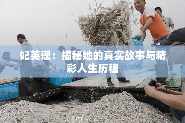 妃英理：揭秘她的真实故事与精彩人生历程