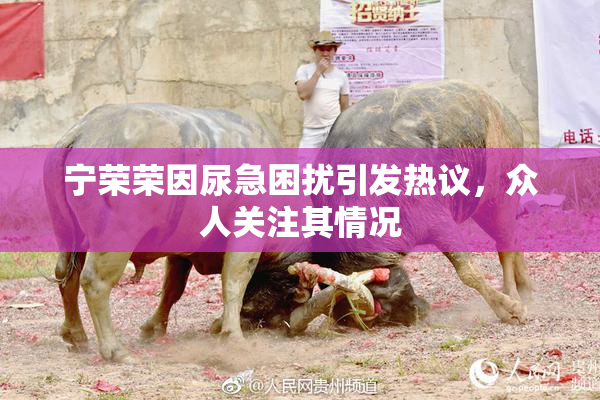 宁荣荣因尿急困扰引发热议，众人关注其情况