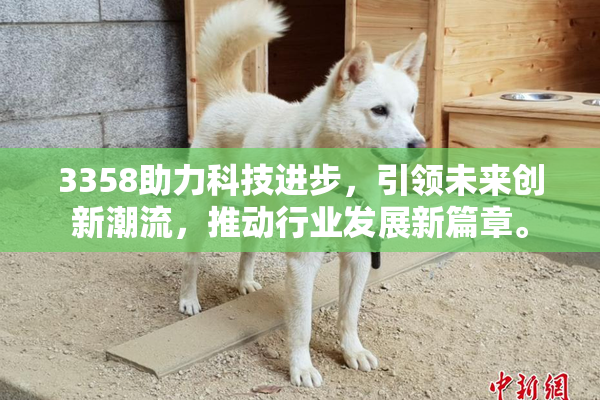 3358助力科技进步，引领未来创新潮流，推动行业发展新篇章。
