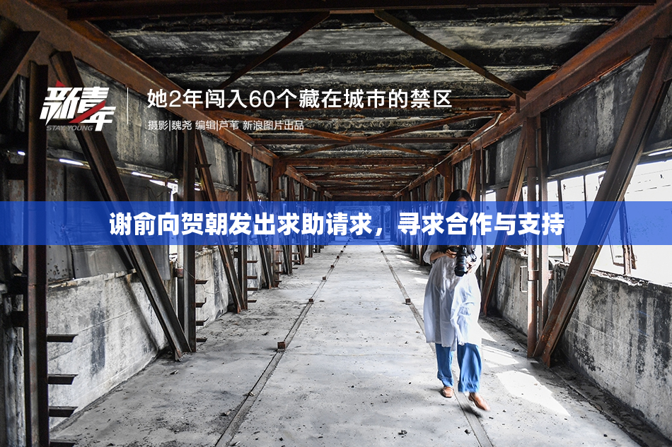 谢俞向贺朝发出求助请求，寻求合作与支持