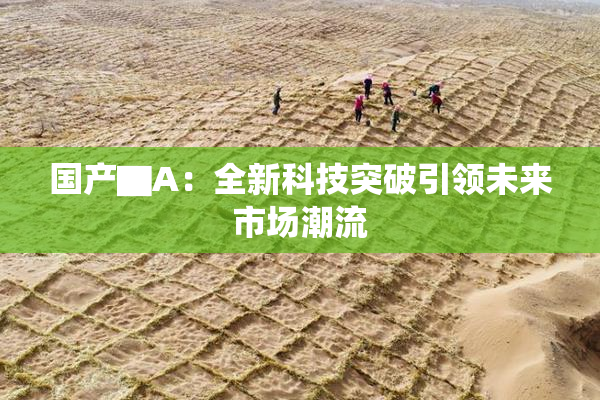 国产▇A：全新科技突破引领未来市场潮流