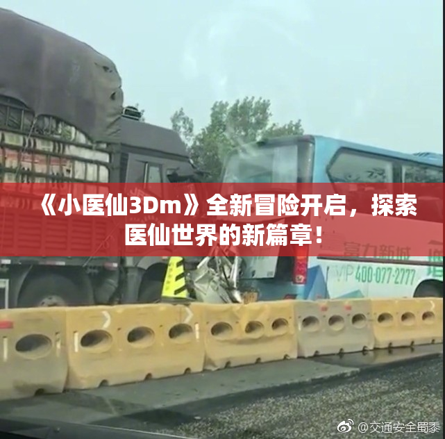 《小医仙3Dm》全新冒险开启，探索医仙世界的新篇章！