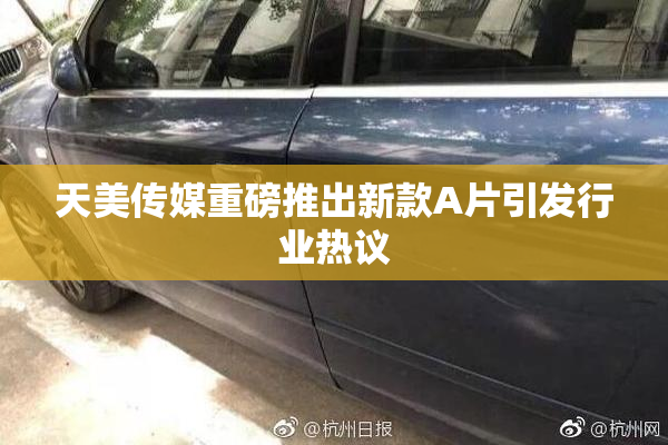 天美传媒重磅推出新款A片引发行业热议