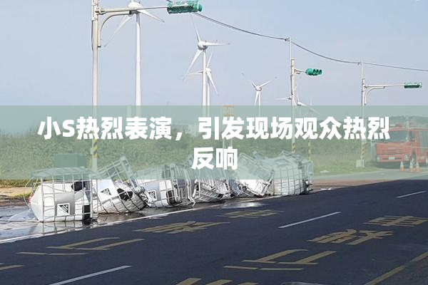 小S热烈表演，引发现场观众热烈反响