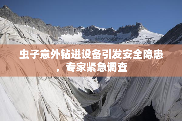 虫子意外钻进设备引发安全隐患，专家紧急调查