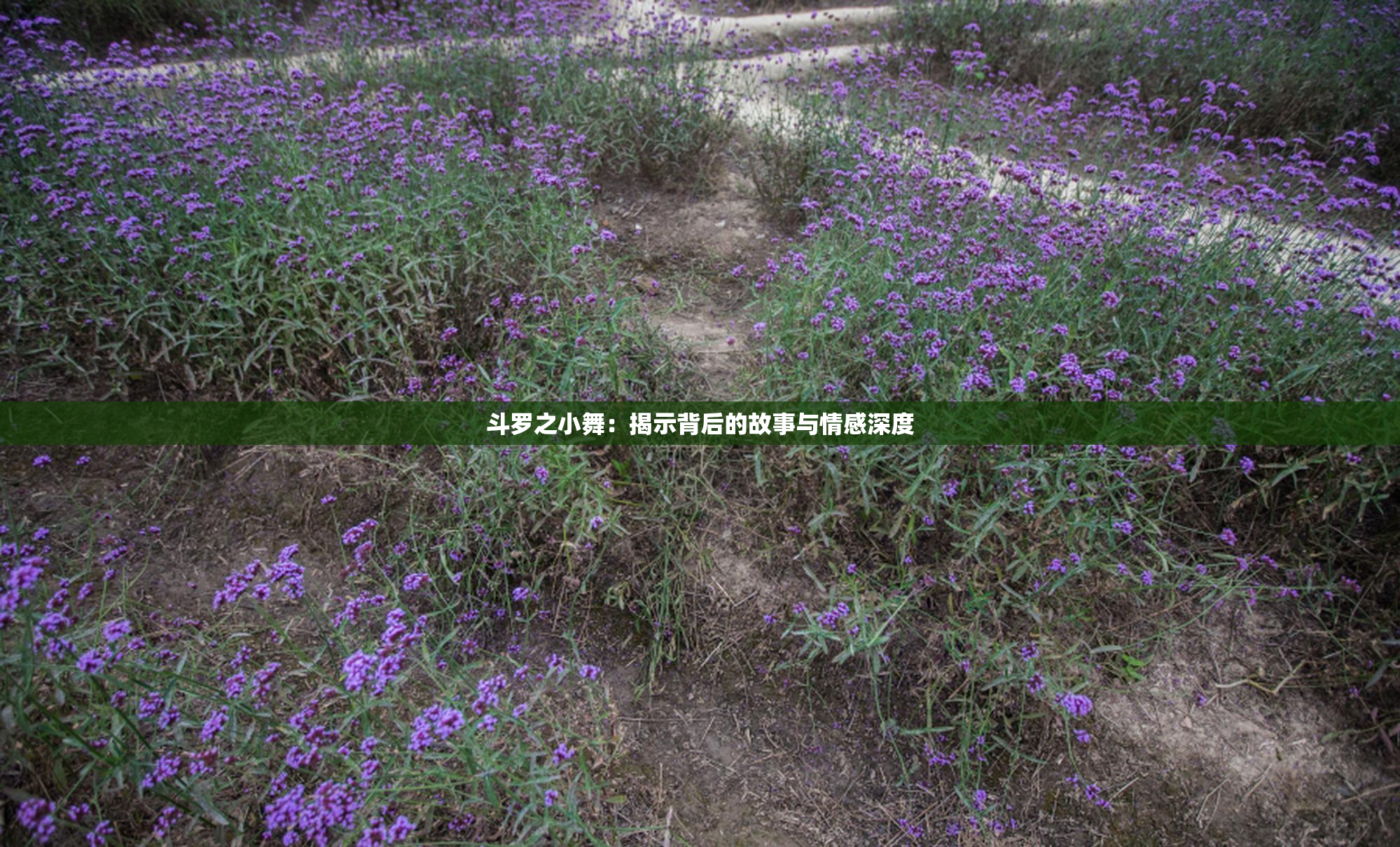 斗罗之小舞：揭示背后的故事与情感深度