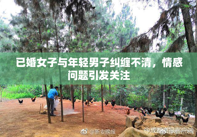 已婚女子与年轻男子纠缠不清，情感问题引发关注
