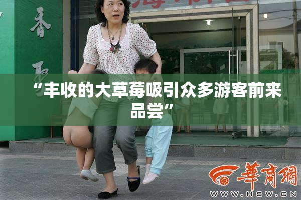 “丰收的大草莓吸引众多游客前来品尝”