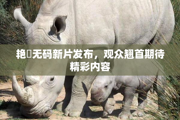 艳鉧无码新片发布，观众翘首期待精彩内容