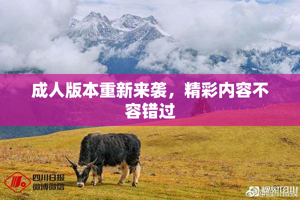 成人版本重新来袭，精彩内容不容错过