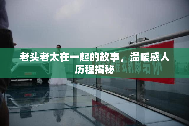 老头老太在一起的故事，温暖感人历程揭秘