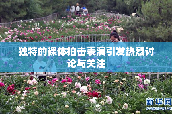 独特的裸体拍击表演引发热烈讨论与关注
