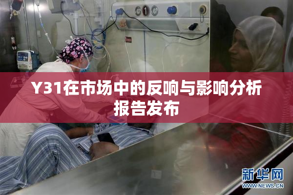 Y31在市场中的反响与影响分析报告发布
