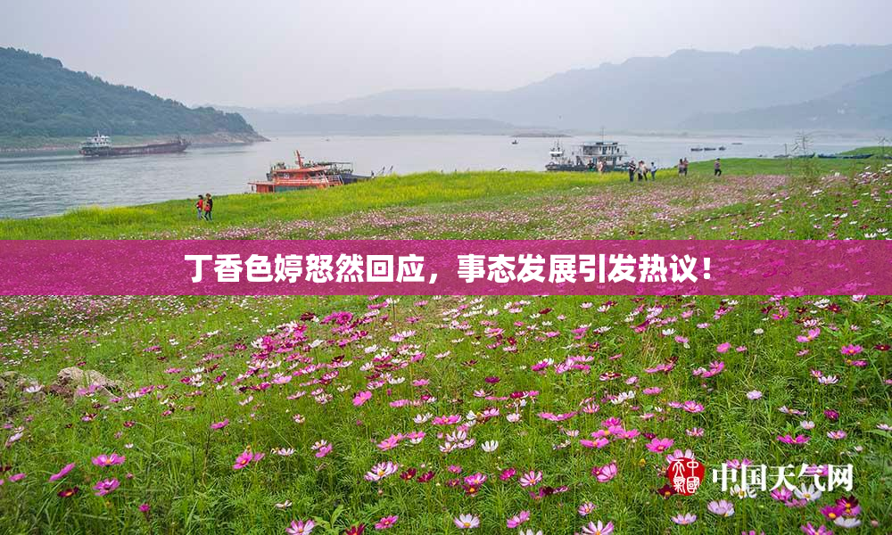 丁香色婷怒然回应，事态发展引发热议！