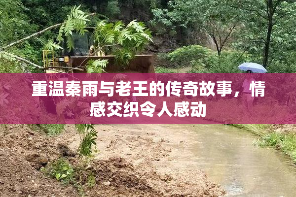重温秦雨与老王的传奇故事，情感交织令人感动