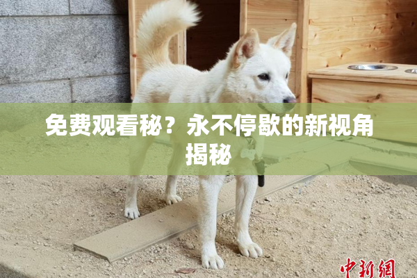 免费观看秘？永不停歇的新视角揭秘