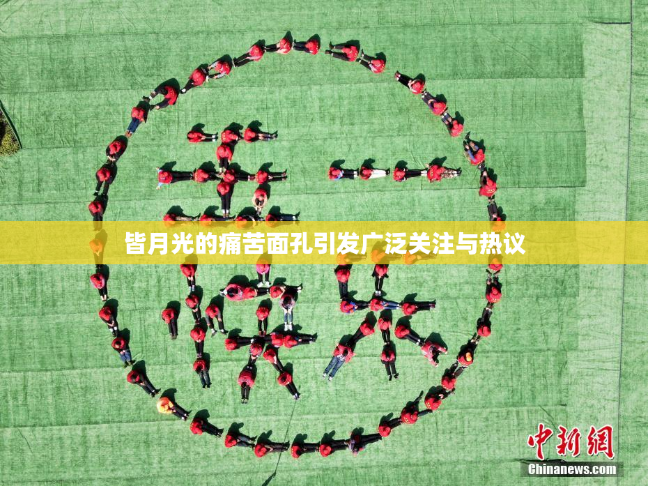 皆月光的痛苦面孔引发广泛关注与热议