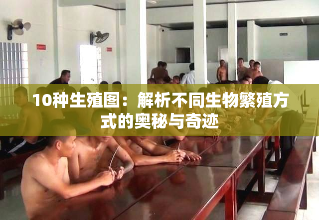 10种生殖图：解析不同生物繁殖方式的奥秘与奇迹