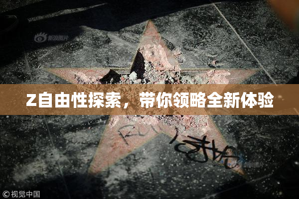 Z自由性探索，带你领略全新体验