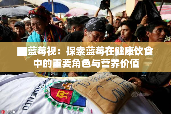 ▇蓝莓视：探索蓝莓在健康饮食中的重要角色与营养价值