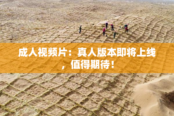 成人视频片：真人版本即将上线，值得期待！