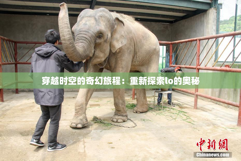 穿越时空的奇幻旅程：重新探索lo的奥秘
