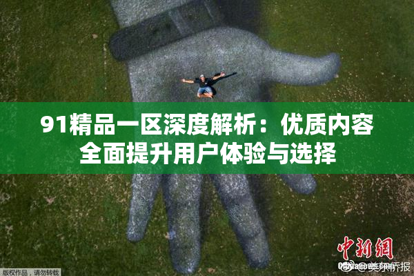 91精品一区深度解析：优质内容全面提升用户体验与选择