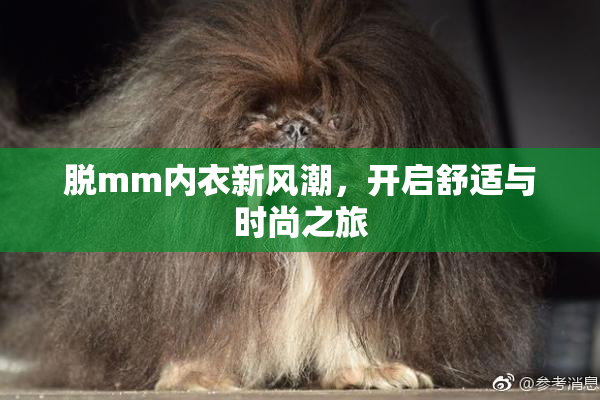 脱mm内衣新风潮，开启舒适与时尚之旅