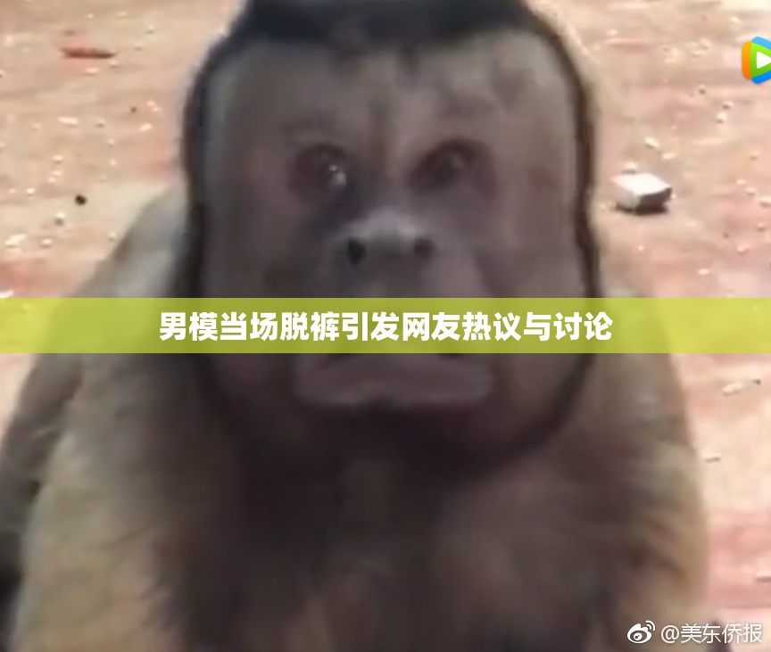 男模当场脱裤引发网友热议与讨论