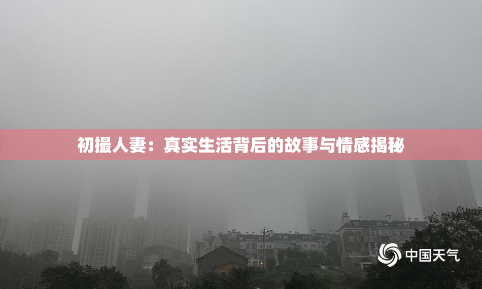 初撮人妻：真实生活背后的故事与情感揭秘