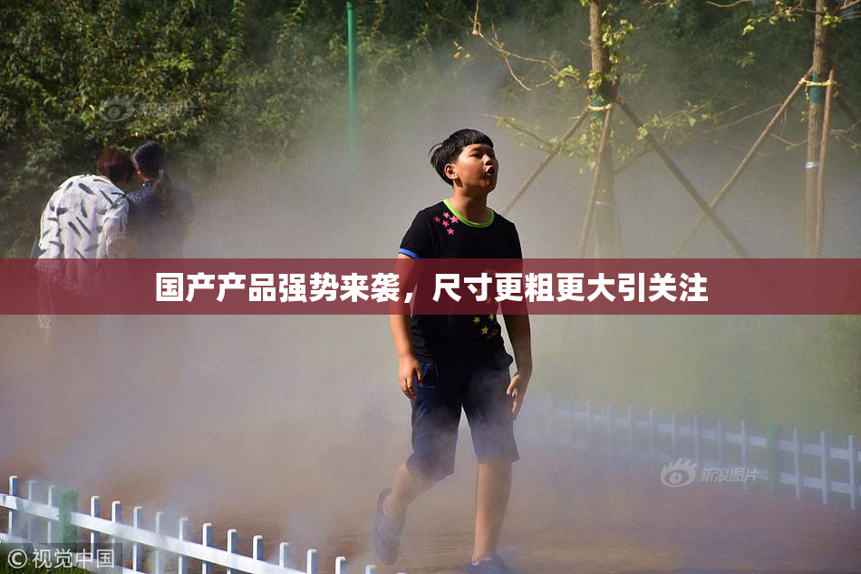 国产产品强势来袭，尺寸更粗更大引关注