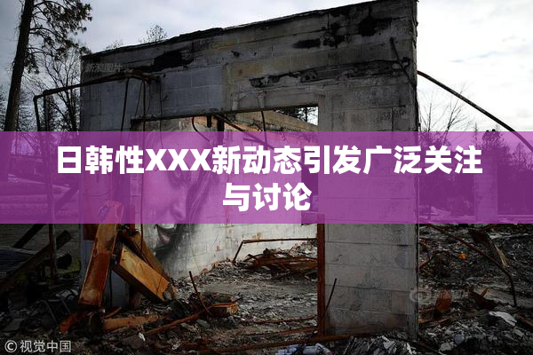 日韩性XXX新动态引发广泛关注与讨论